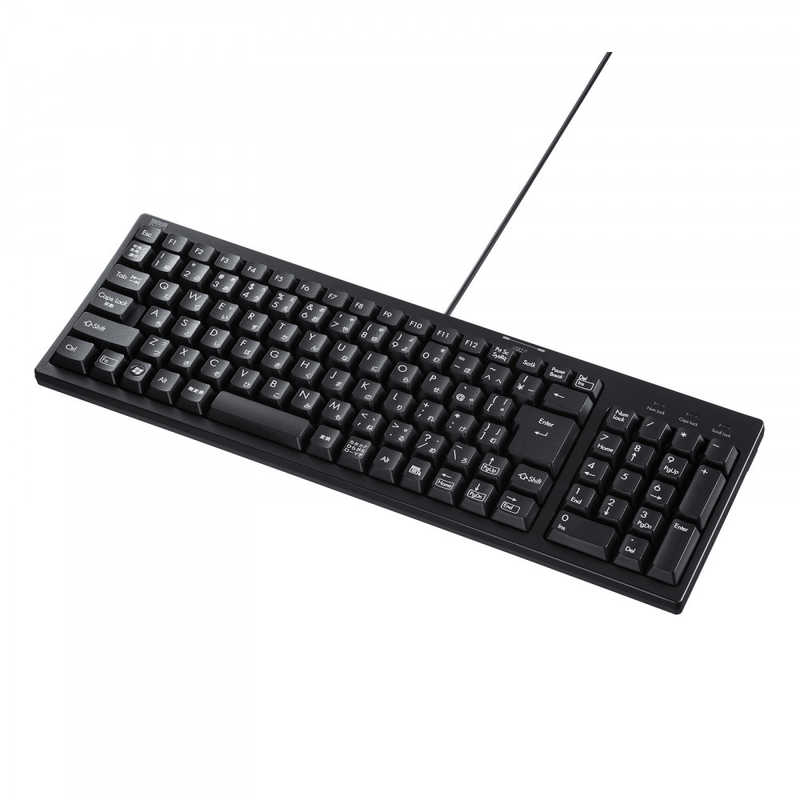 サンワサプライ SANWA SUPPLY USBハブ付コンパクトキーボード SKB-KG2UH2BK