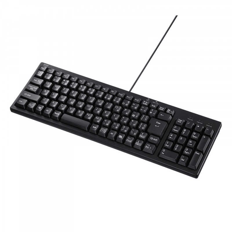 サンワサプライ SANWA SUPPLY USBハブ付コンパクトキーボード SKB-KG2UH3BK