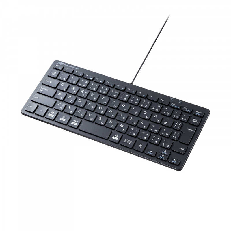 サンワサプライ?SANWA?SUPPLY?USBスリムキーボード SKB-SL36BK