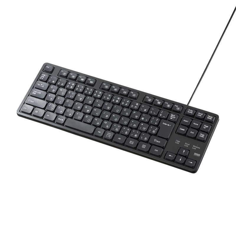 サンワサプライ?SANWA?SUPPLY?静音キーボード(有線・テンキーなし) SKB-SL38BK