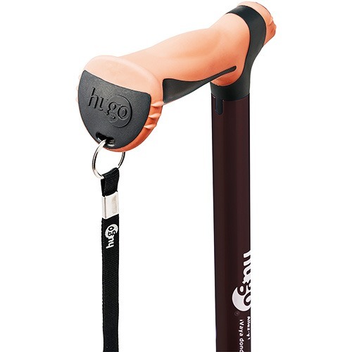 タケトラ 竹虎 ヒューゴステッキ ブラウン ( 1本入 ) 104753ヒューゴS-BR