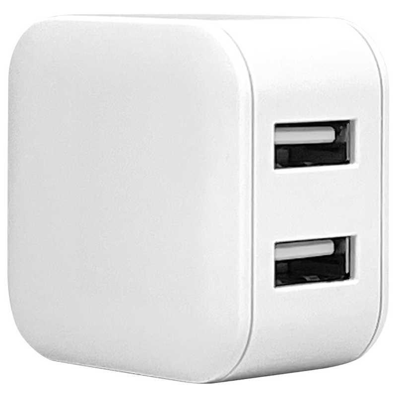 ラスタバナナ RastaBanana USB2ポート AC充電器 ホワイト RAC2A2A03WH