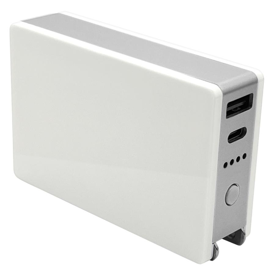 ラスタバナナ RastaBanana Type-C1ポート/USB1ポート AC付リチウム充電器 5000mAh 3A ホワイト RLI050AC3A01WH