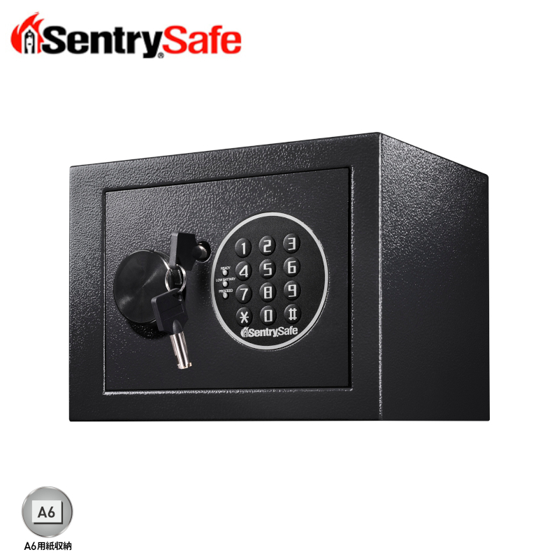 セントリー テンキー式 パーソナルセキュリティー保管庫 X014E