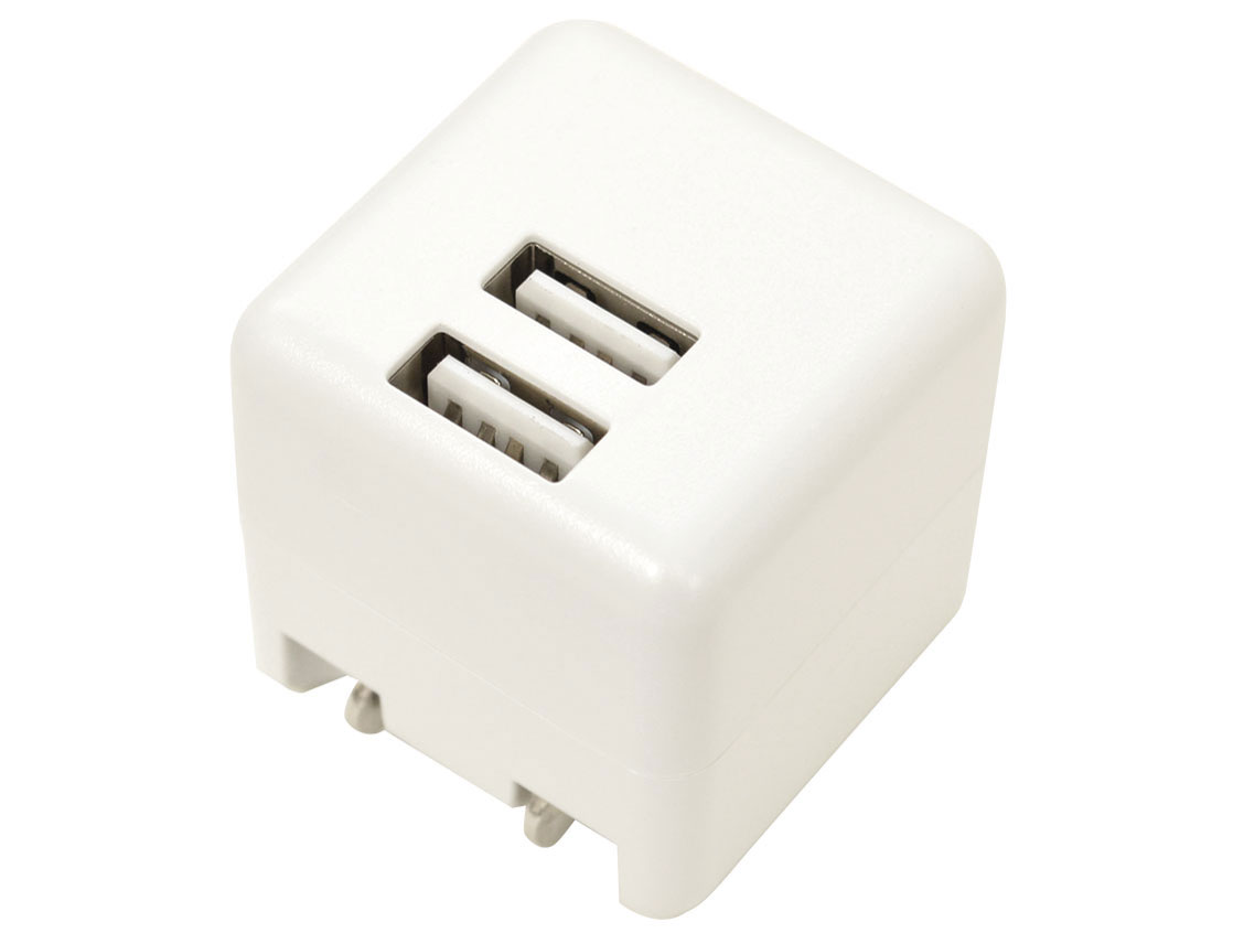 ラスタバナナ RastaBanana AC充電器 USB A×2ポート 2.4A ホワイト RAC2A2A01WH