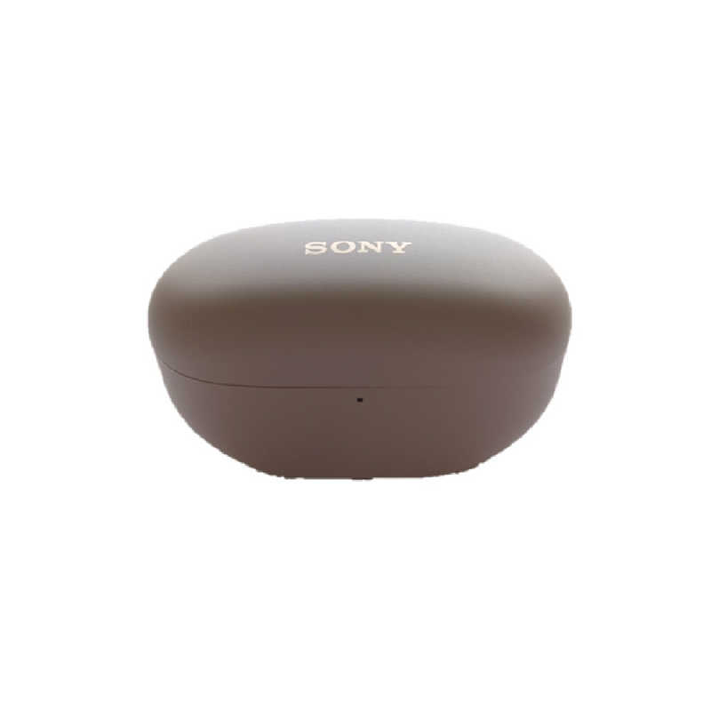 SONY 充電ケース スモーキーピンク ZZ-WFM5CASEP