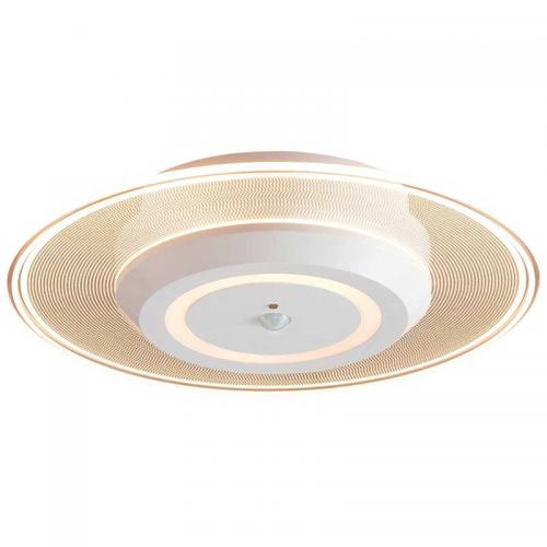 アイリスオーヤマ IRIS OHYAMA 小型シーリングライト 電球色 SCL-75LMS-LGP