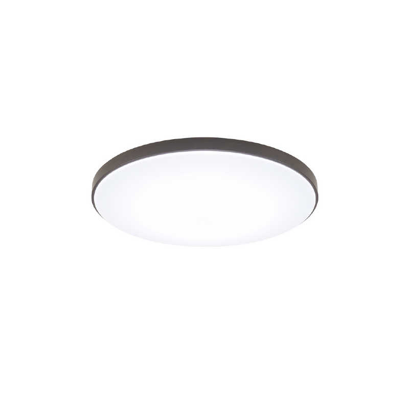 パナソニック Panasonic LEDシーリングライト カラーフレームシリーズ　ウッディグレイン HH-CN0848A-T