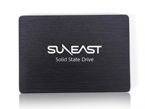 SUNEAST SSD 256GB SE800-256GB