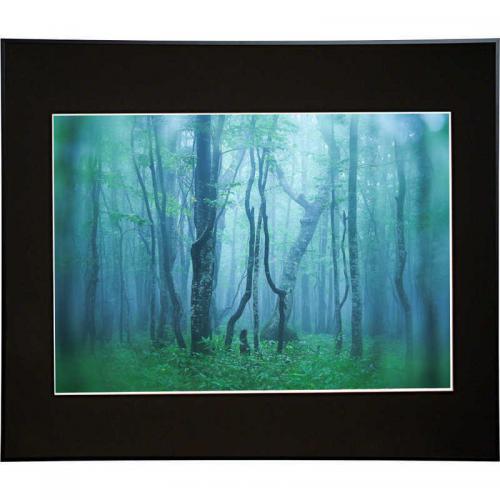 kenko ギヤラリ- A2 ブラツク AGY-A2-BK