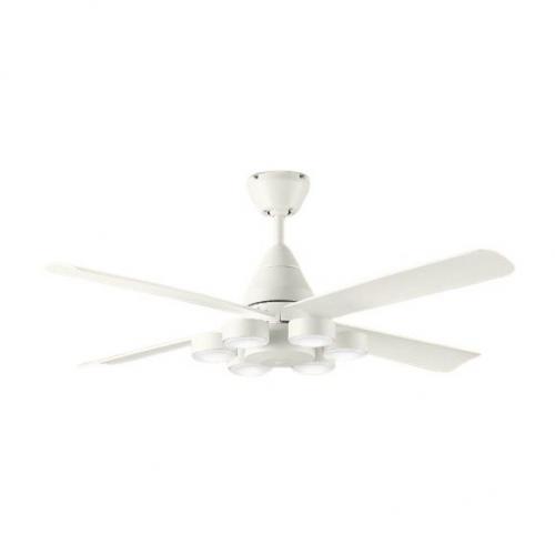 大光電機 DAIKO DCモーターシーリングファン　ASL-616