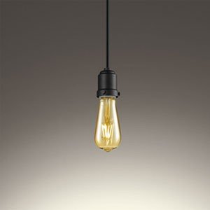 オーデリック ODELIC LED小型ペンダント フィラメントランプ SH5020LD