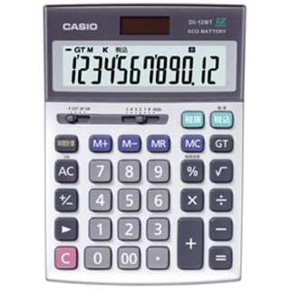 CASIO 電卓 12桁 DS-12WT-N カシオ