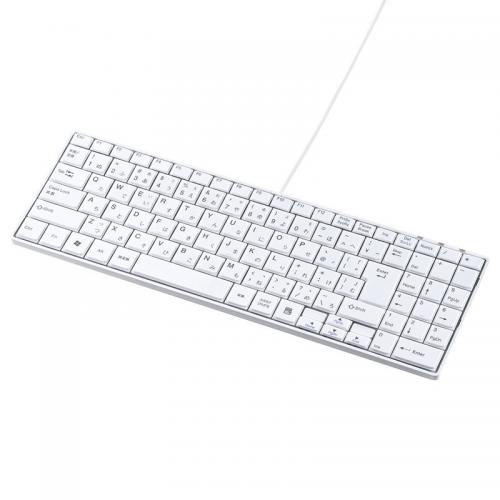 サンワサプライ SANWA SUPPLY USBスリムキーボード テンキー付き ホワイト SKB-SL17WN