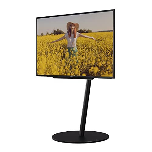 ナカムラ 45～80V型対応 壁寄せテレビスタンド サテンブラック EQUALS WALLテレビスタンド A2 ラージタイプ WLTVL6119