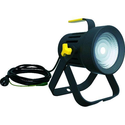 ムサシ Musashi　 全天候型 LED投光器 スカイライト30W WT-2500