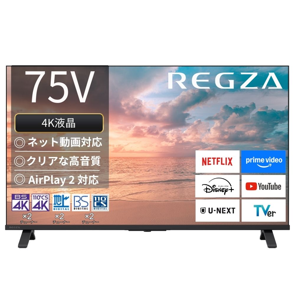 レグザ REGZA 4K液晶テレビ 75V型 75E350R(大型)