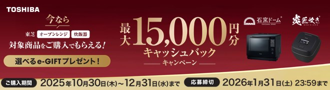 東芝 TOSHIBA 過熱水蒸気オーブンレンジ 石窯ドーム 26L ブラック ER-D4000B-K