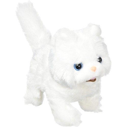 【アウトレット】イワヤ あかちゃん ペルシャ