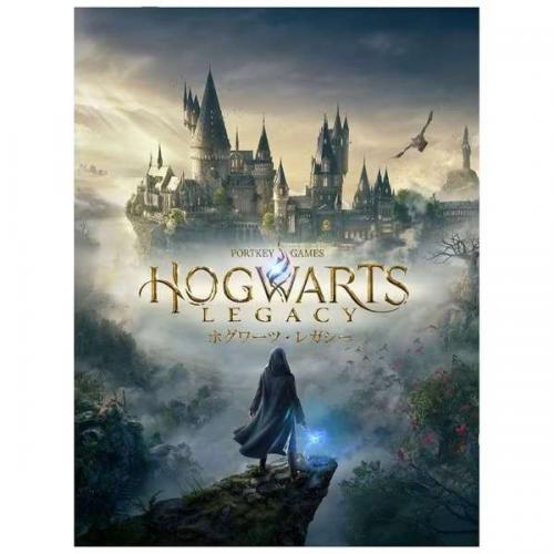 WB GAMES|ワーナーゲーム ホグワーツ・レガシー【Switch】