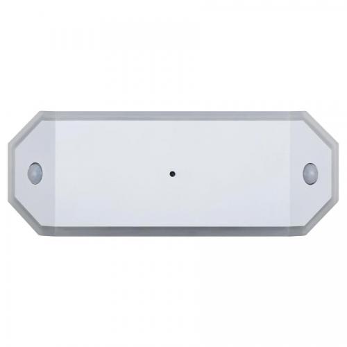 アイリスオーヤマ IRIS OHYAMA LED センサーライト 乾電池式 調光2段階 W人感センサー 廊下タイプ BSL-RWMS