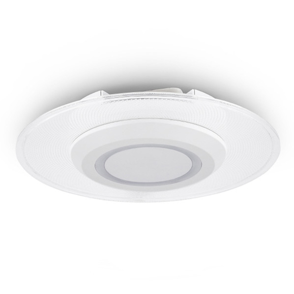 アイリスオーヤマ IRISOHYAMA 小型シーリングライト 電球色 SCL100L-PK