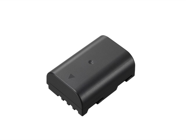 Panasonic LUMIX バッテリーパック DMW-BLF19 パナソニック ルミックス